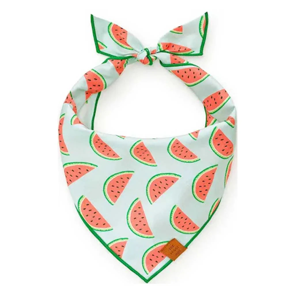 One in a Melon Bandana for Dogs and Cats