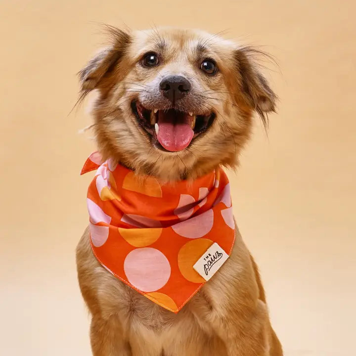 The Paws Judy Bandana for Dogs and Cats