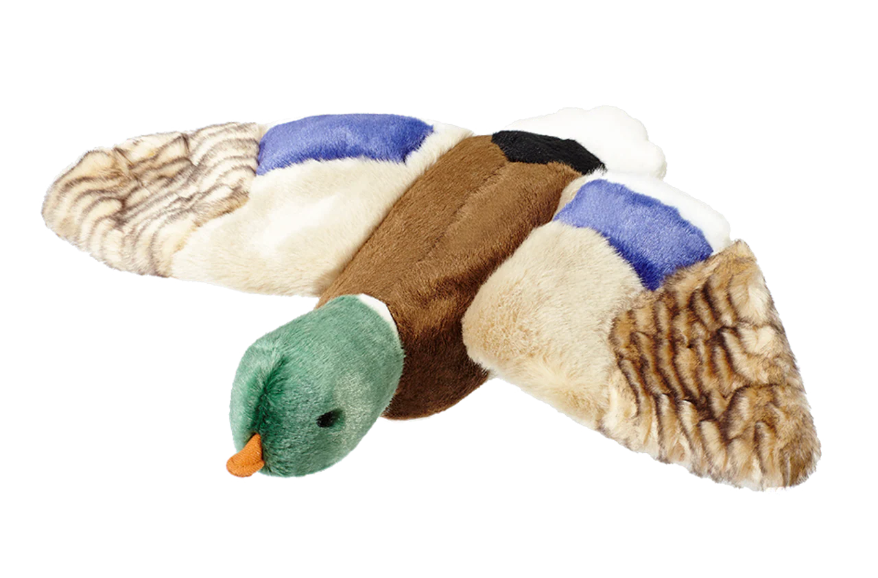 Wally Mallard Plush Dog Toy