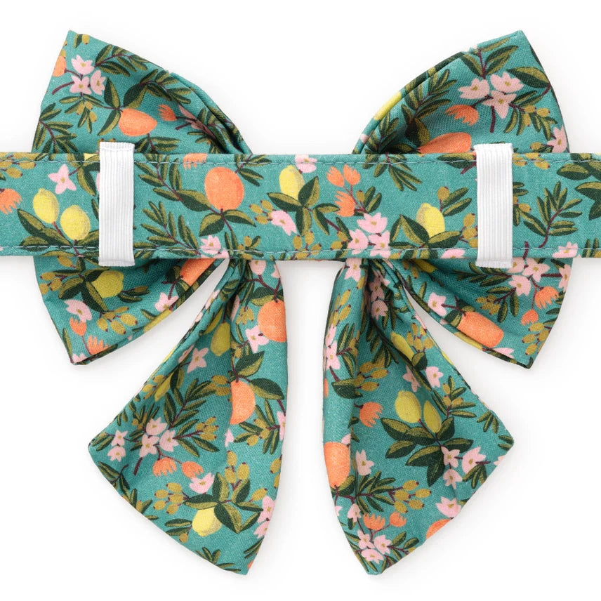Rifle Paper Co. X Tfd Citrus Floral Lady Bow Attachment for Collar