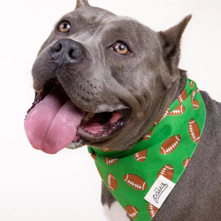 The Paws Defender Football Bandana for Dogs and Cats