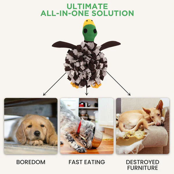 LuftPets Squeaky Duck Snuffle Mat for Dogs – 2-in-1 Toy & Foraging Fun