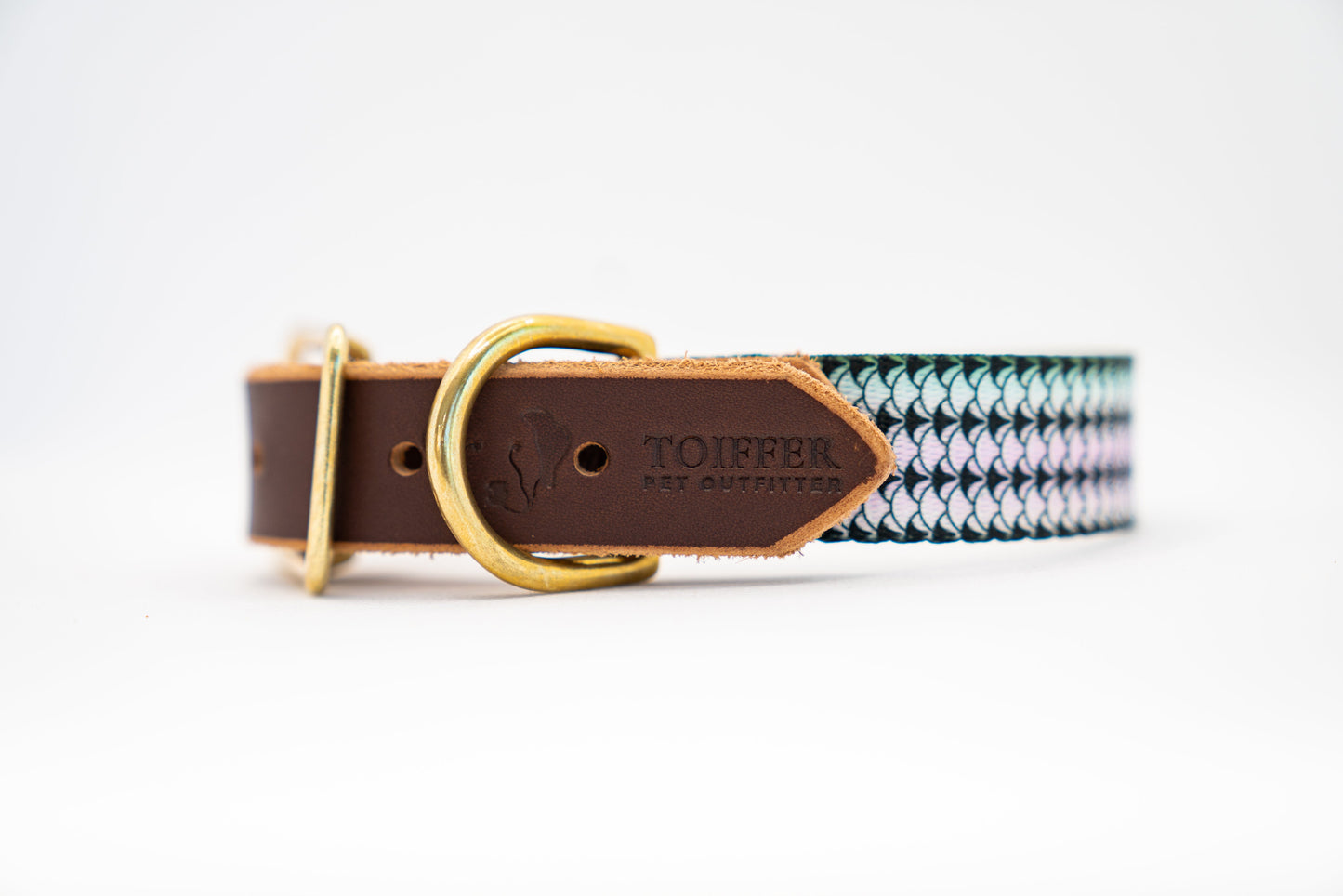 Leather & Striped Bass Print Collar