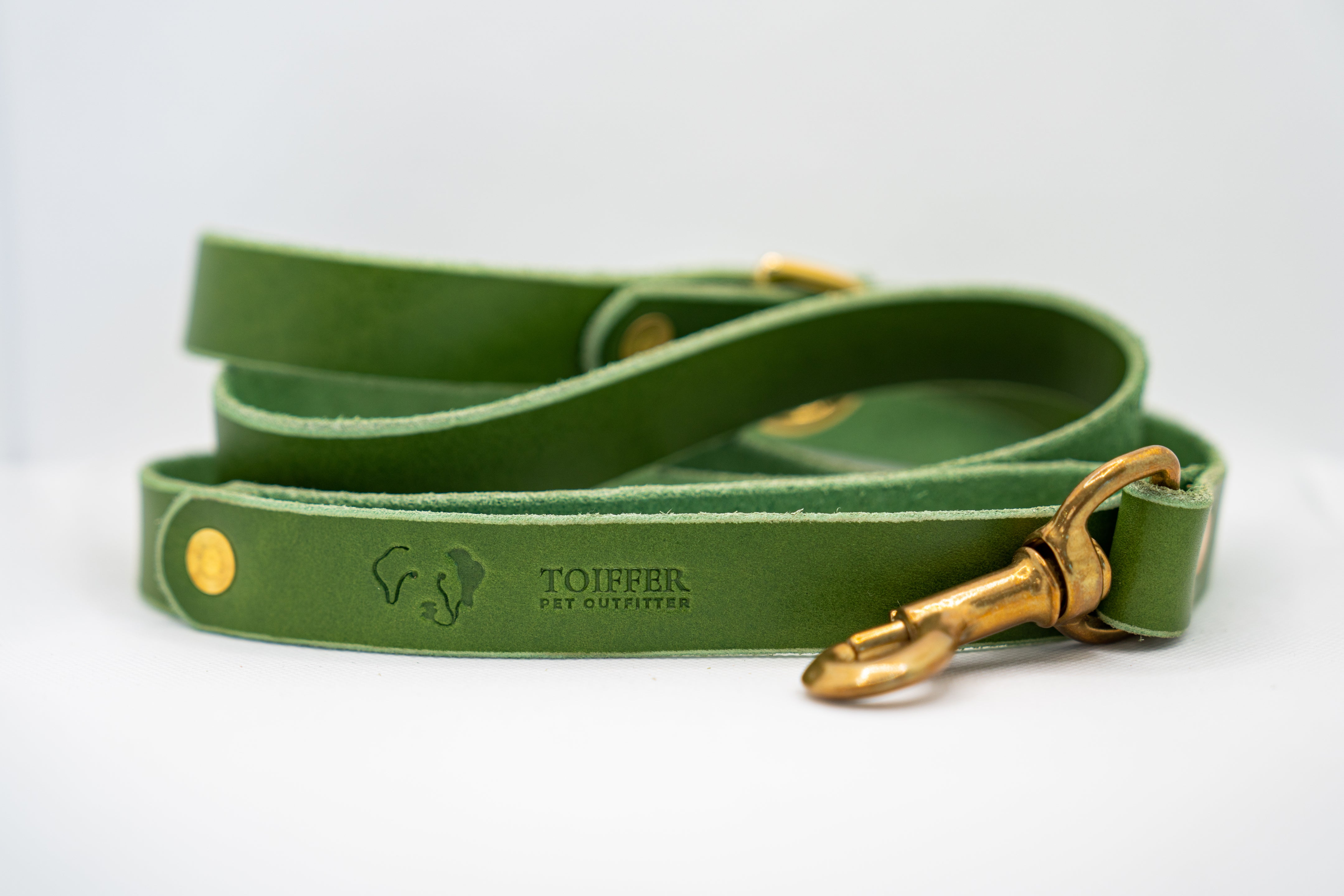 Green Premium Leather Dog Leash