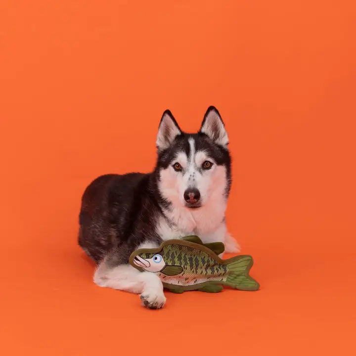 Dumb Bass Fish Durable Dog Toy
