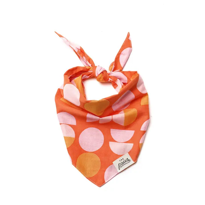 The Paws Judy Bandana for Dogs and Cats