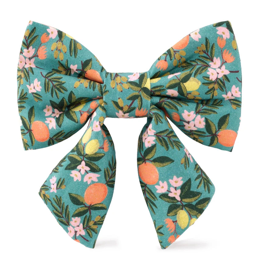 Rifle Paper Co. X Tfd Citrus Floral Lady Bow Attachment for Collar