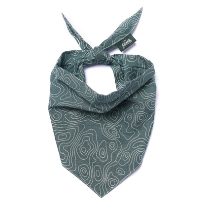 The Paws The Parks Bandana for Dogs and Cats