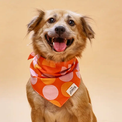 The Paws Judy Bandana for Dogs and Cats