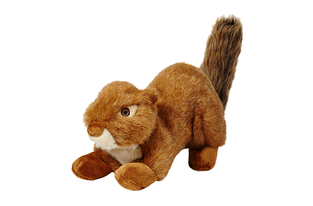 Red Squirrel No Squeak Plush Dog Toy