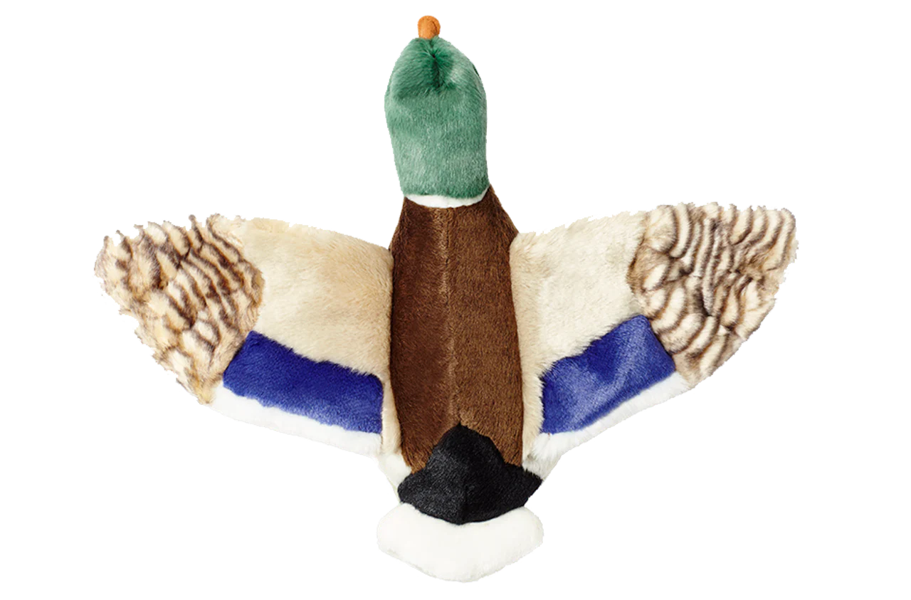 Wally Mallard Plush Dog Toy