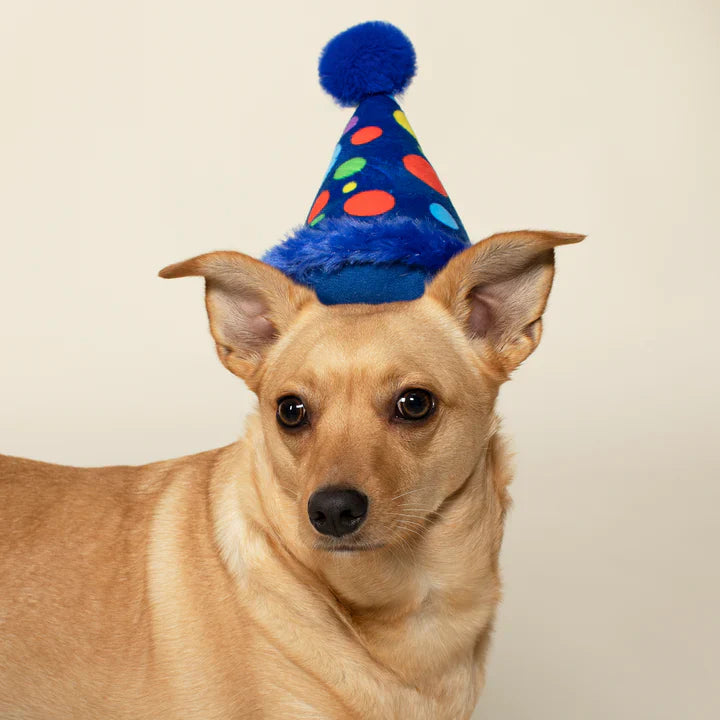 Small Party Hat Plush Dog Toy
