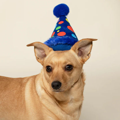 Small Party Hat Plush Dog Toy