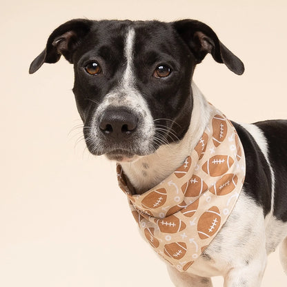 The Paws Football Blitz Bandana for Dogs and Cats