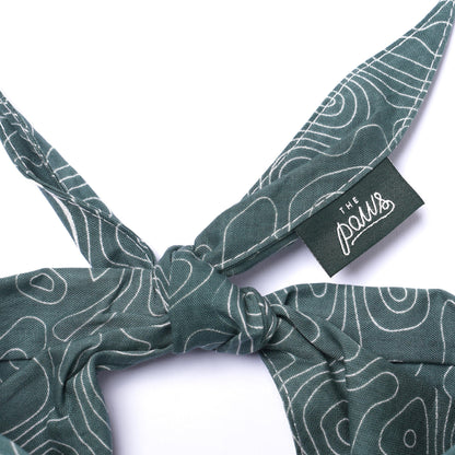 The Paws The Parks Bandana for Dogs and Cats
