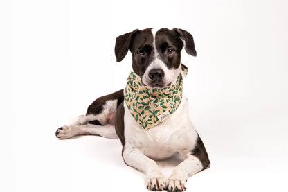 The Paws Green Berry Bandana for Dogs and Cats