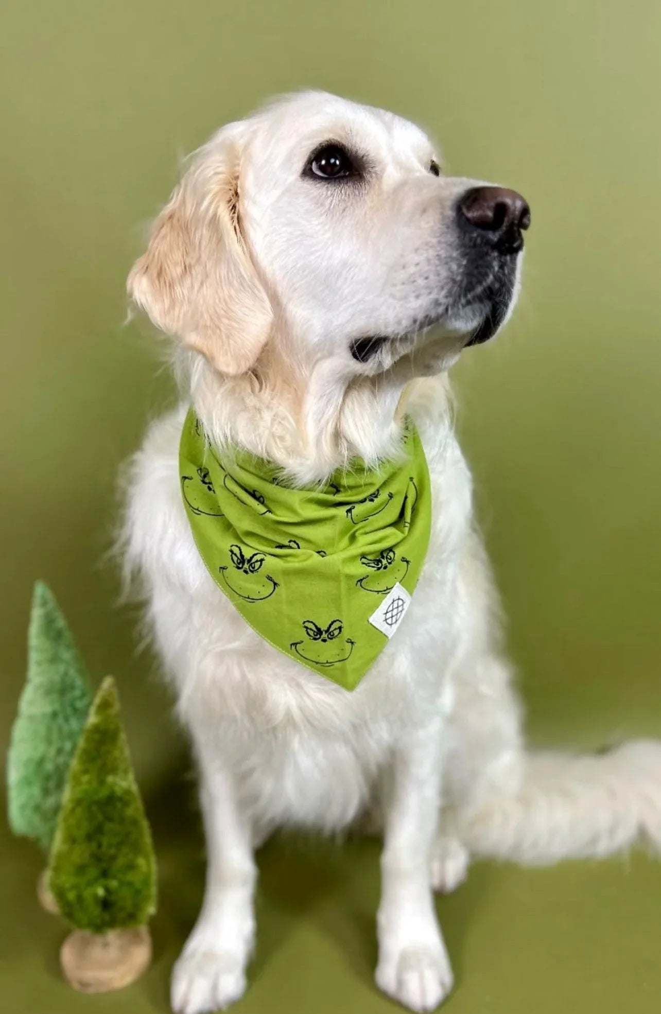 The Paws Grinch Holiday Bandana for Dogs and Cats