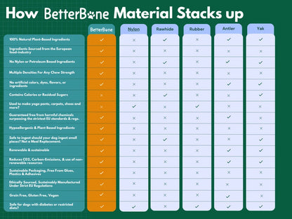 Betterbone Medium Density Beef Flavor Bone Chew Toy, Mini