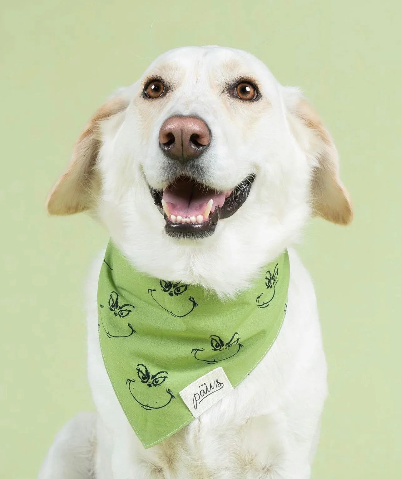 The Paws Grinch Holiday Bandana for Dogs and Cats
