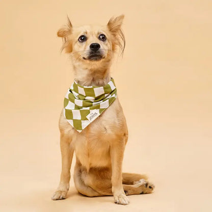 The Paws Checkmate Bandana for Dogs and Cats