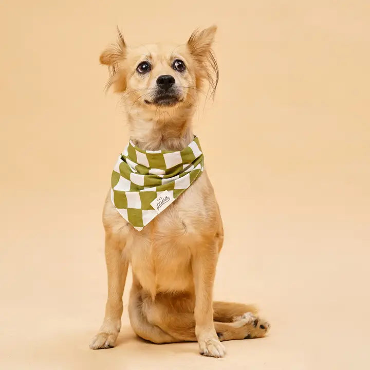 The Paws Defender Football Bandana for Dogs and Cats