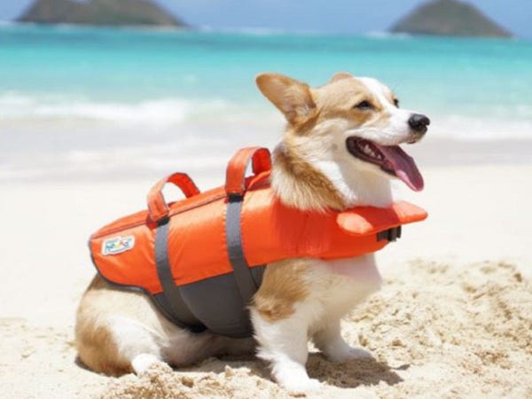 Granby Dog Life Jacket