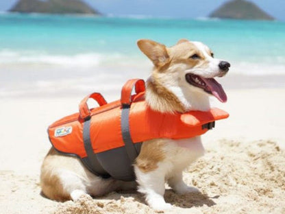 Granby Dog Life Jacket