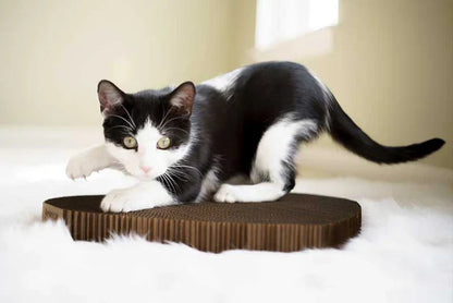 Cat-shaped Scratching Pad
