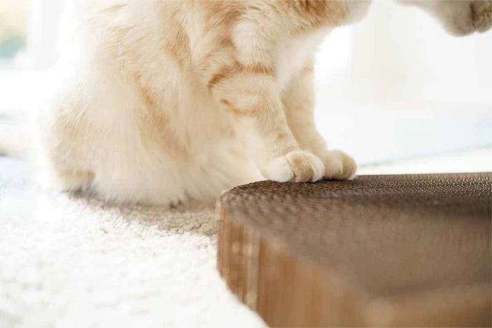 Cat-shaped Scratching Pad
