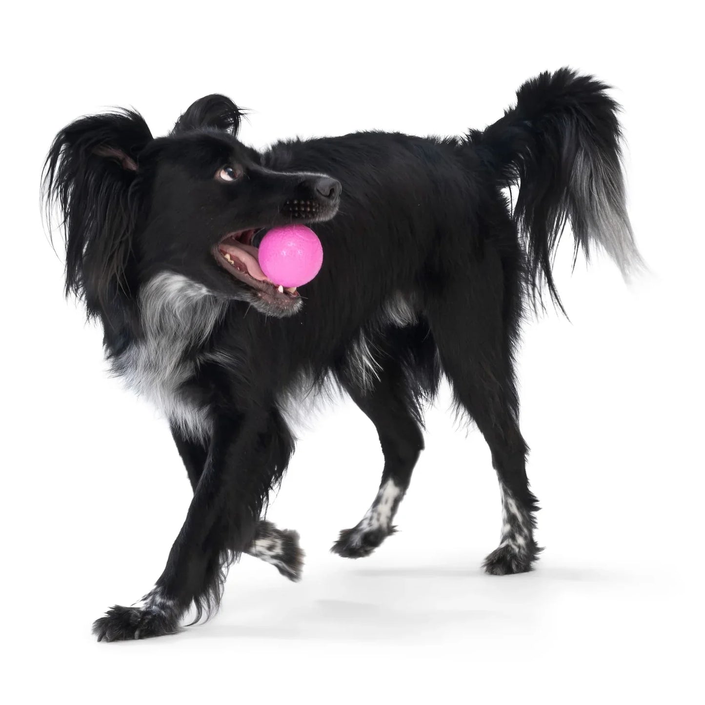 West Paw Boundr Ball Floating Dog Fetch Chew Toy 2-pack Small