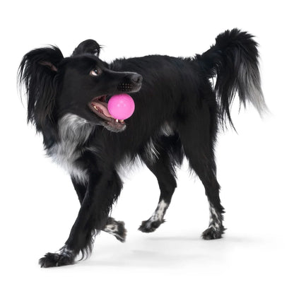 West Paw Boundr Ball Floating Dog Fetch Chew Toy 2-pack Small