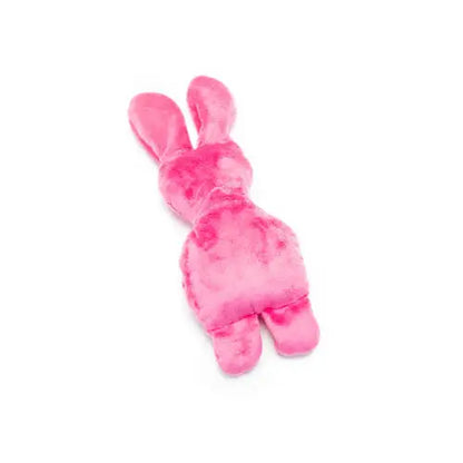Crinkle Bunny Plush Dog Toy