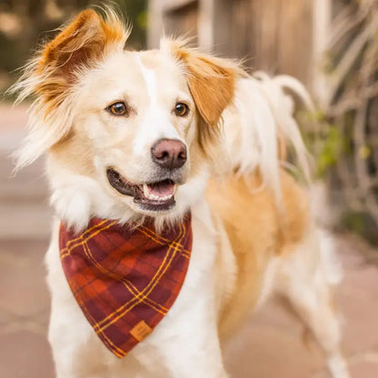 Cider Plaid Flannel Fall Dog Bandana for Dogs and Cats