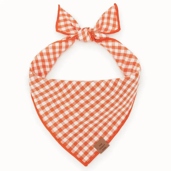 Gingham Cider Orange Bandana for Dogs and Cats