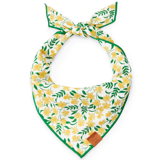 Daffodils Dog Bandana