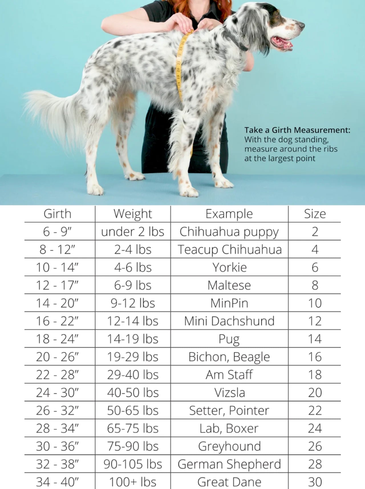 Sun Shield Tee SPF 50