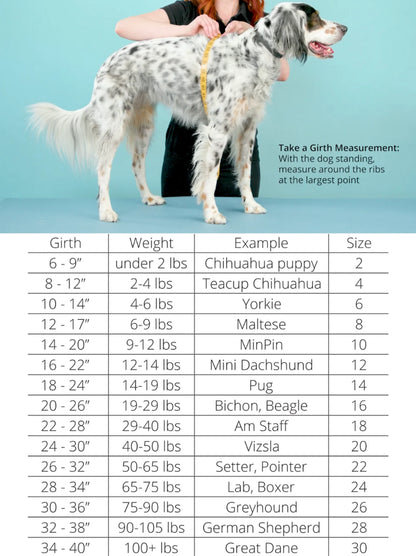 Sun Shield Tee SPF 50