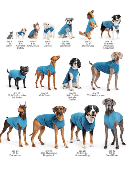 Sun Shield Tee SPF 50