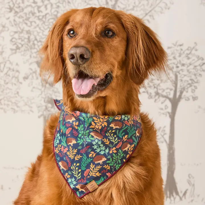 Hedgehog Hollow Bandana for Dogs and Cats