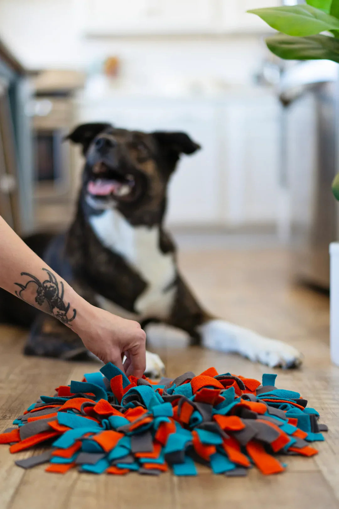 Round Forage Snuffle Mat