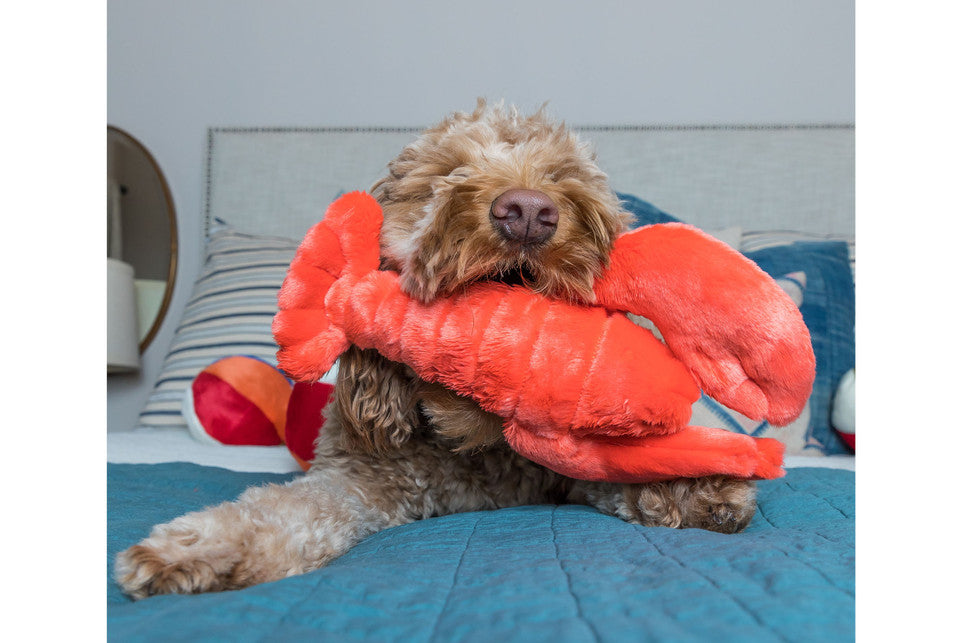 Manny Lobster Plush Dog Toy