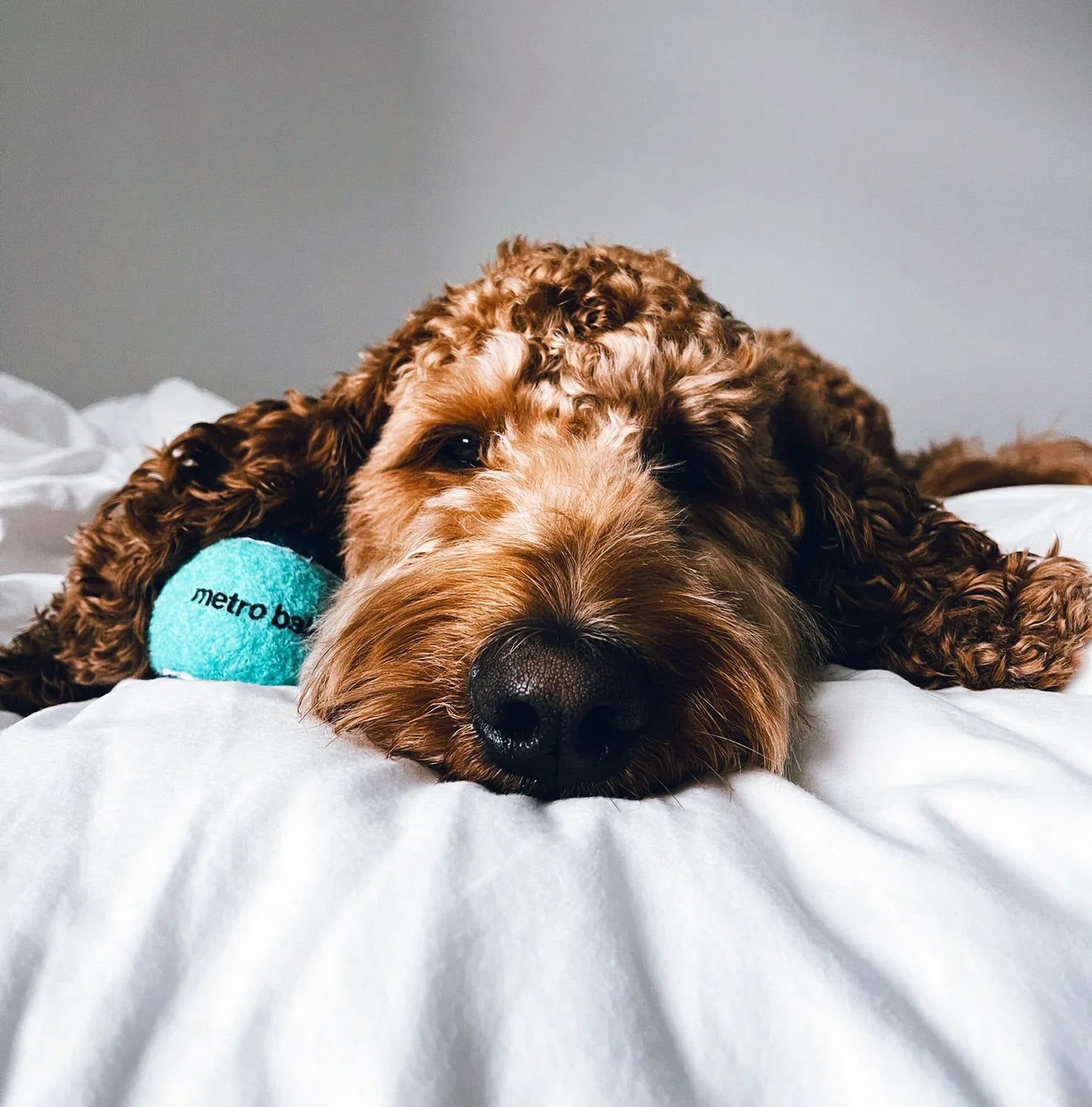 Metropaws Tennis Ball Assorted Colors Mini 3 pack