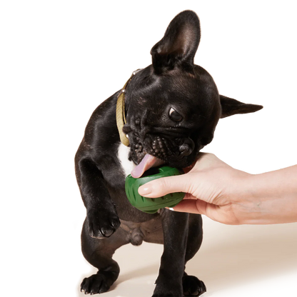 Woof Pupsicle Freezable Treat Tray Size Small