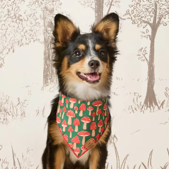 Mushroom Meadow Bandana for Dogs and Cats