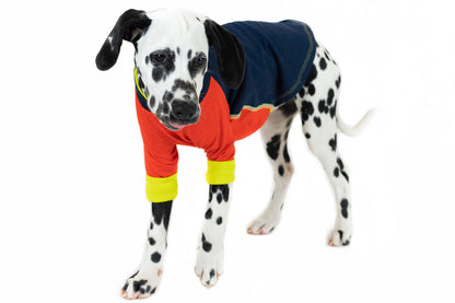 Pima Cotton Long Sleeve Tee