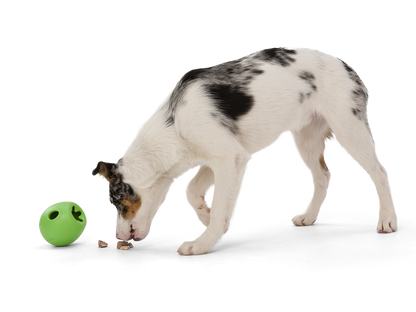West Paw Rumbl Bouncy Ball Dog Toy Large