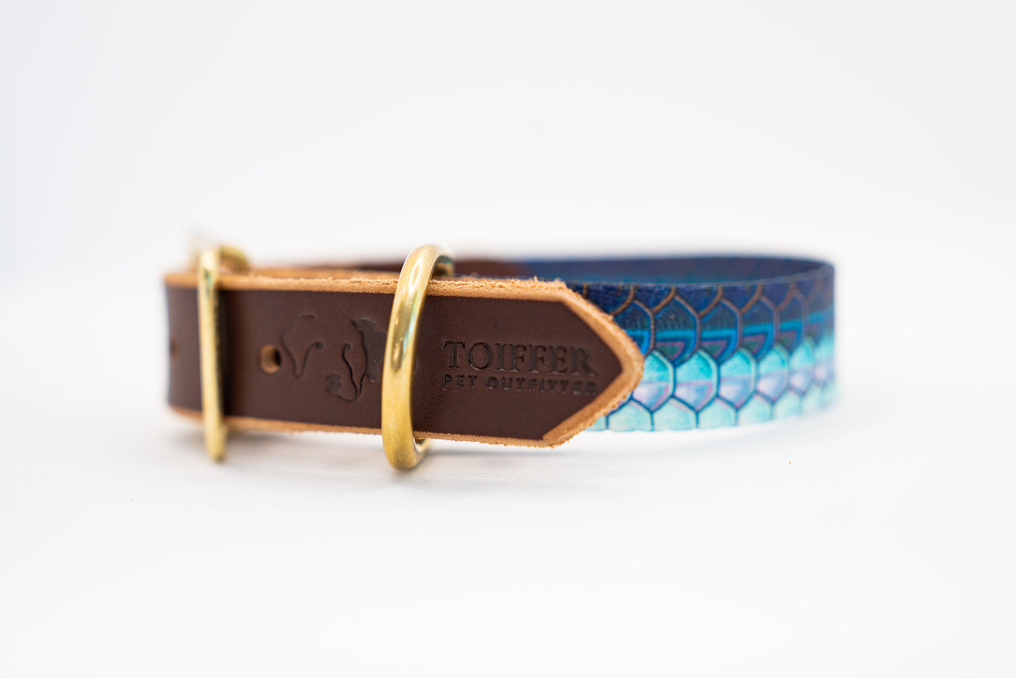 Leather & Tarpon Print Collar