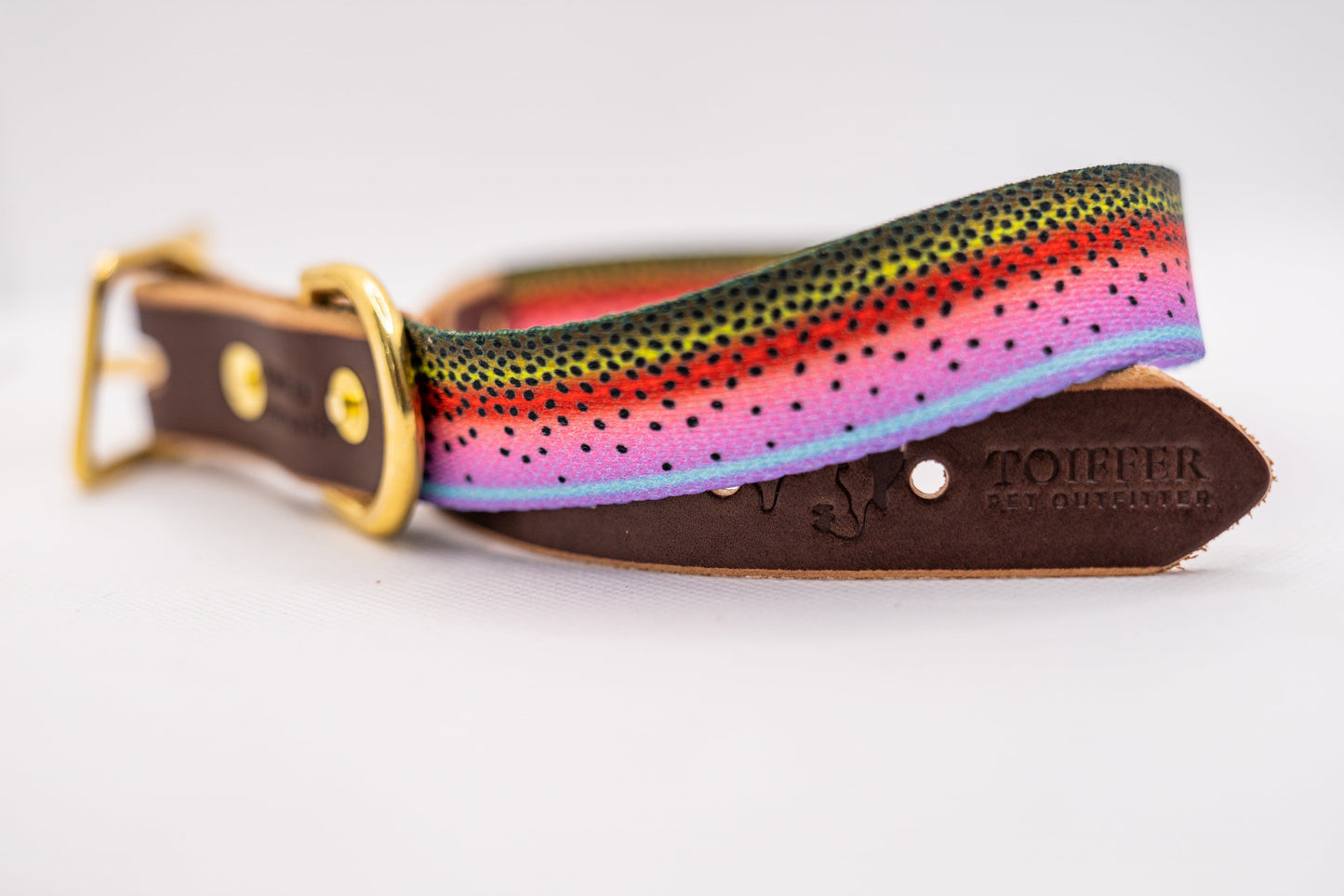 Leather & Rainbow Trout Print Collar Small
