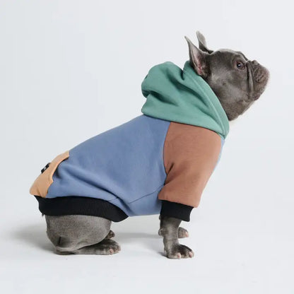 Spark Paws Alpine Dog Hoodie