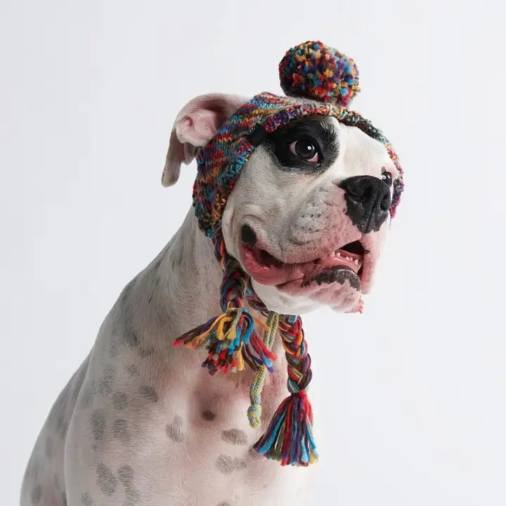 Spark Paws Kaleidoscope Knit Pom Pom Beanie Hat for Dogs